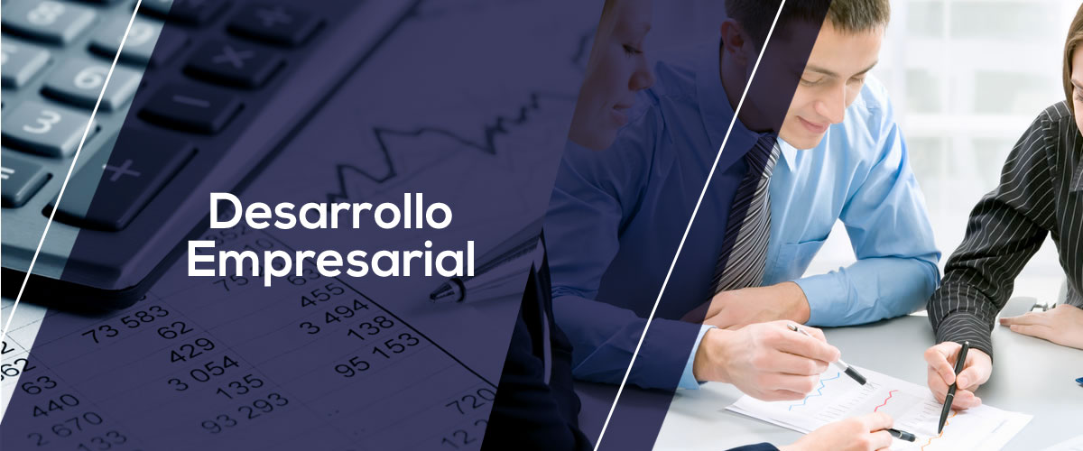 desarrollo-empresarial